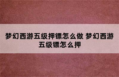 梦幻西游五级押镖怎么做 梦幻西游五级镖怎么押